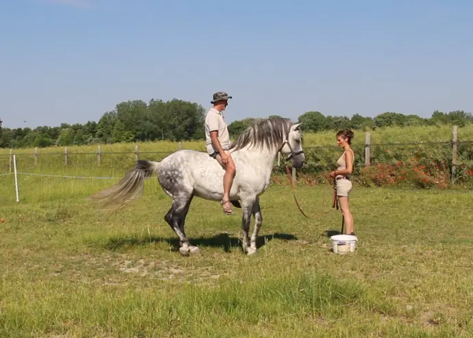 capture d’écran 39 